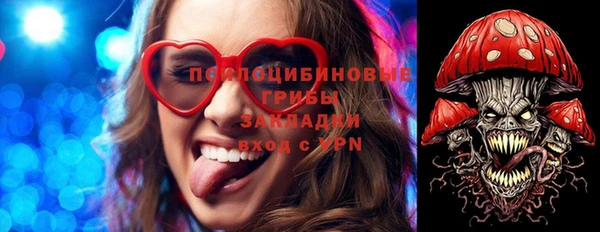 стафф Абинск