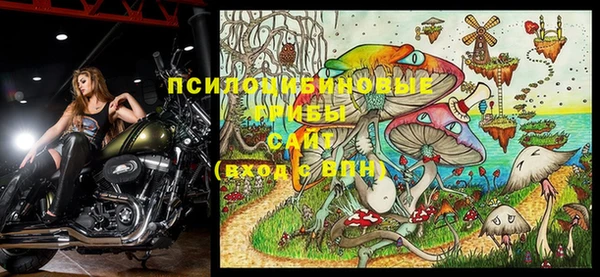 стафф Абинск