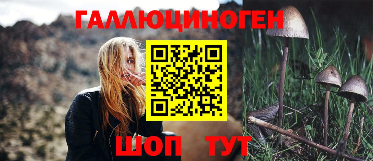 Галлюциногенные грибы ЛСД Клинцы