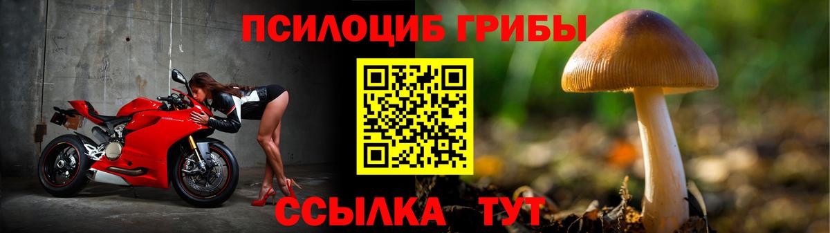 Галлюциногенные грибы мицелий  Вход с VPN  Псилоцибиновые грибы ЛСД  Клинцы 